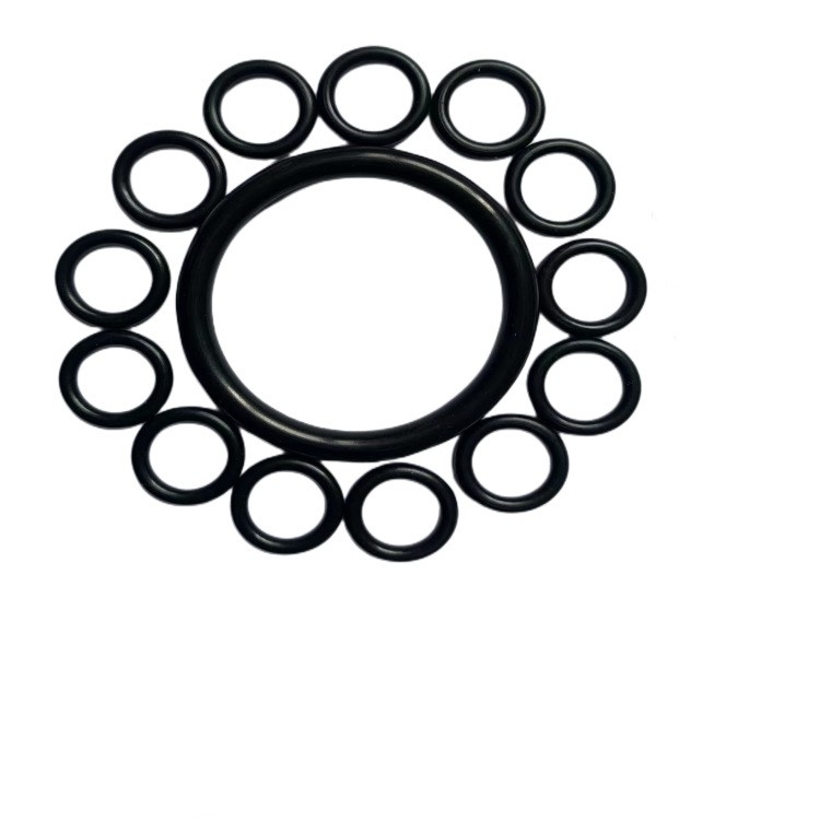 Endüstriyel uygulamalar için çeşitli renklerdeki özel FKM NBR O-Ring/Seals